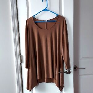 Ashley BlueWomen's Brown Tunic Top 3xl